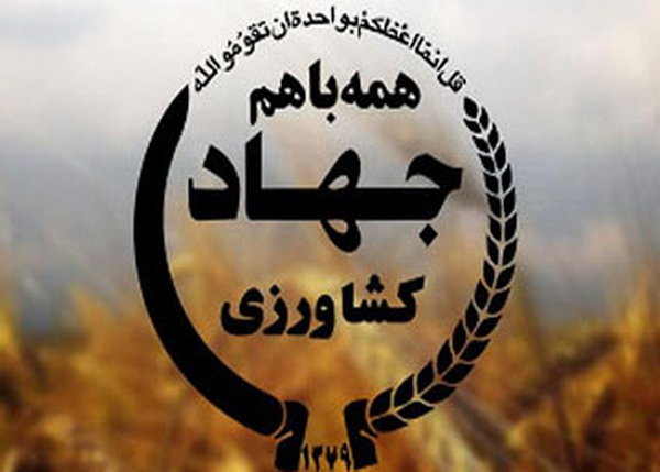 رئیس سازمان جهاد کشاورزی استان خوزستان منصوب شد