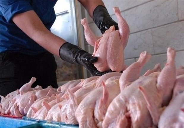 کاهش ۸۰۰ تومانی نرخ مرغ در بازار/قیمت به کیلویی ۹۰۰۰ تومان رسید