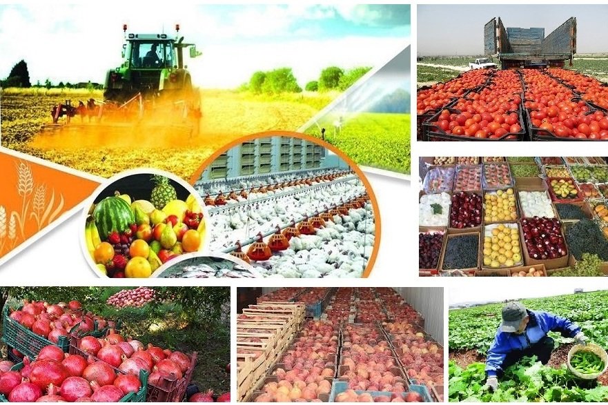 جایگاه ویژه محصولات کشاورزی در مبادلات تجاری با اوراسیا