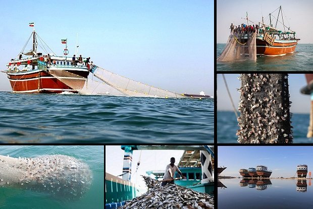 کشتی‌های چینی در آبهای ایران حضور ندارند