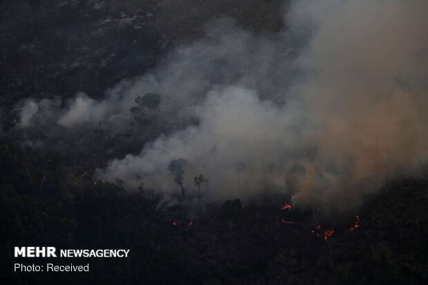 روشن کردن آتش؛ عامل ۶ آتش سوزی اخیر در جنگل‌های کشور