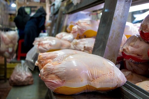 کاهش عوارض صادراتی مرغ ابلاغ شد