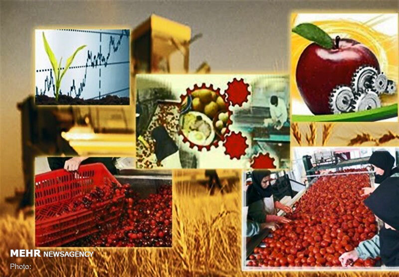 میانگین رشد سالانه سرمایه گذاری در بخش کشاورزی منفی ۱۰.۸ بوده است